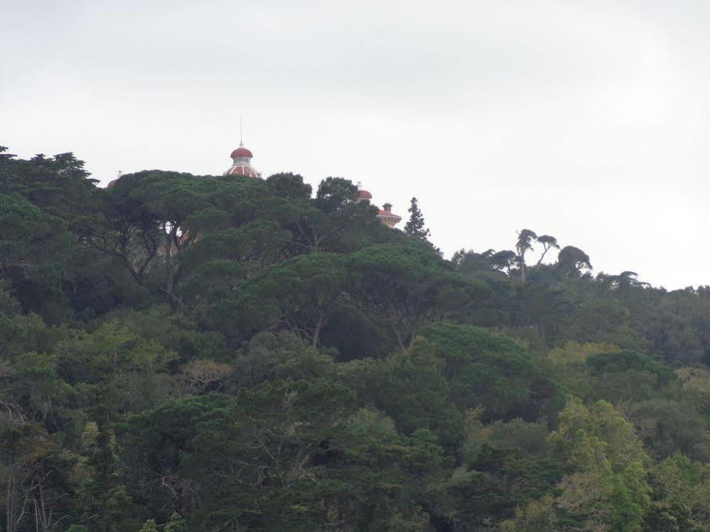 Quinta De Sao Thiago Gasthof Sintra
