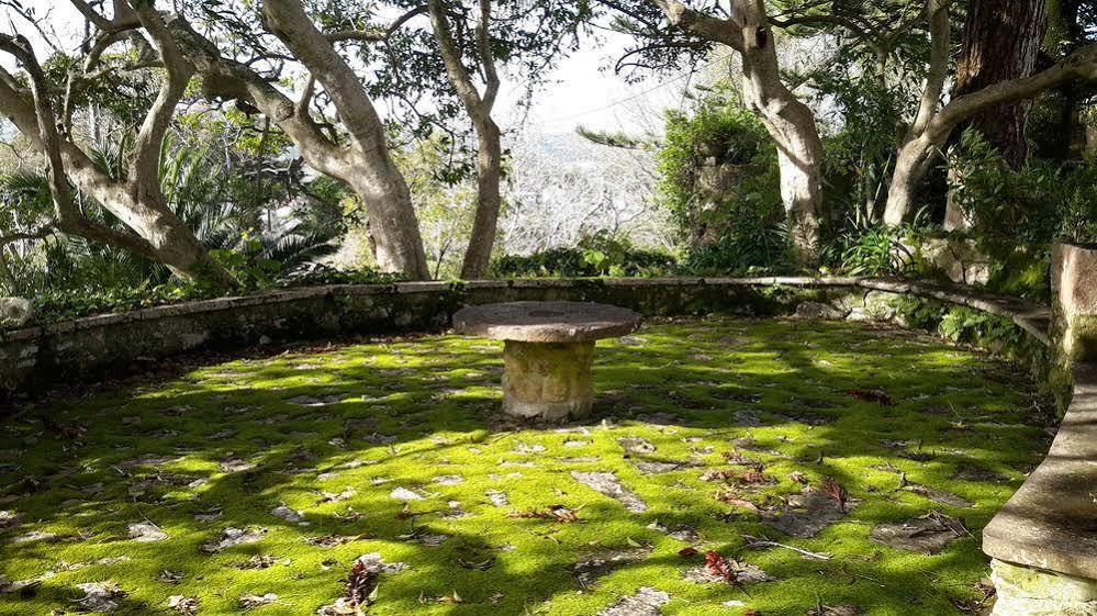 Quinta De Sao Thiago Sintra