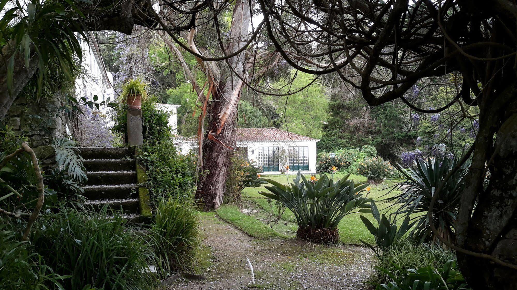 Casa de hóspedes Quinta De Sao Thiago 3*